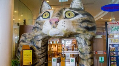 3. Museum Kucing, Amsterdam, Belanda